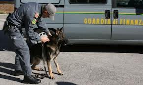 guardiafinanza cane