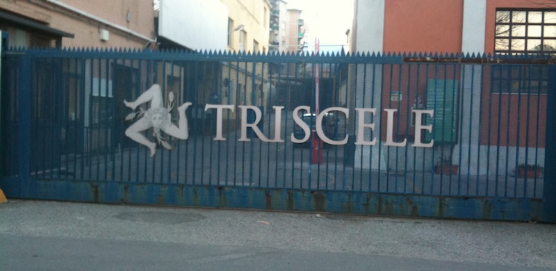 triscele