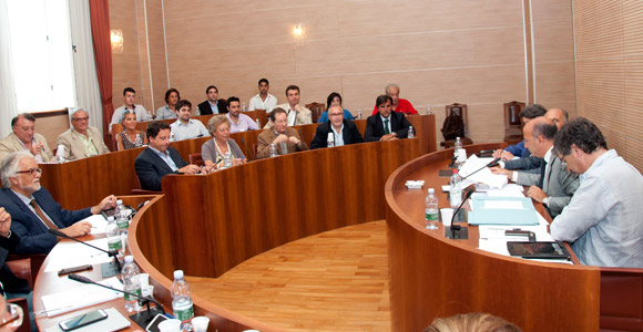 Senato Cda universita