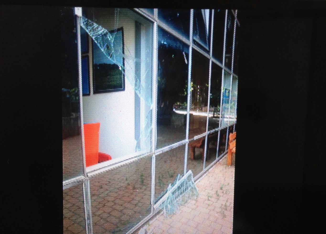 Vandali1 Villa Dante