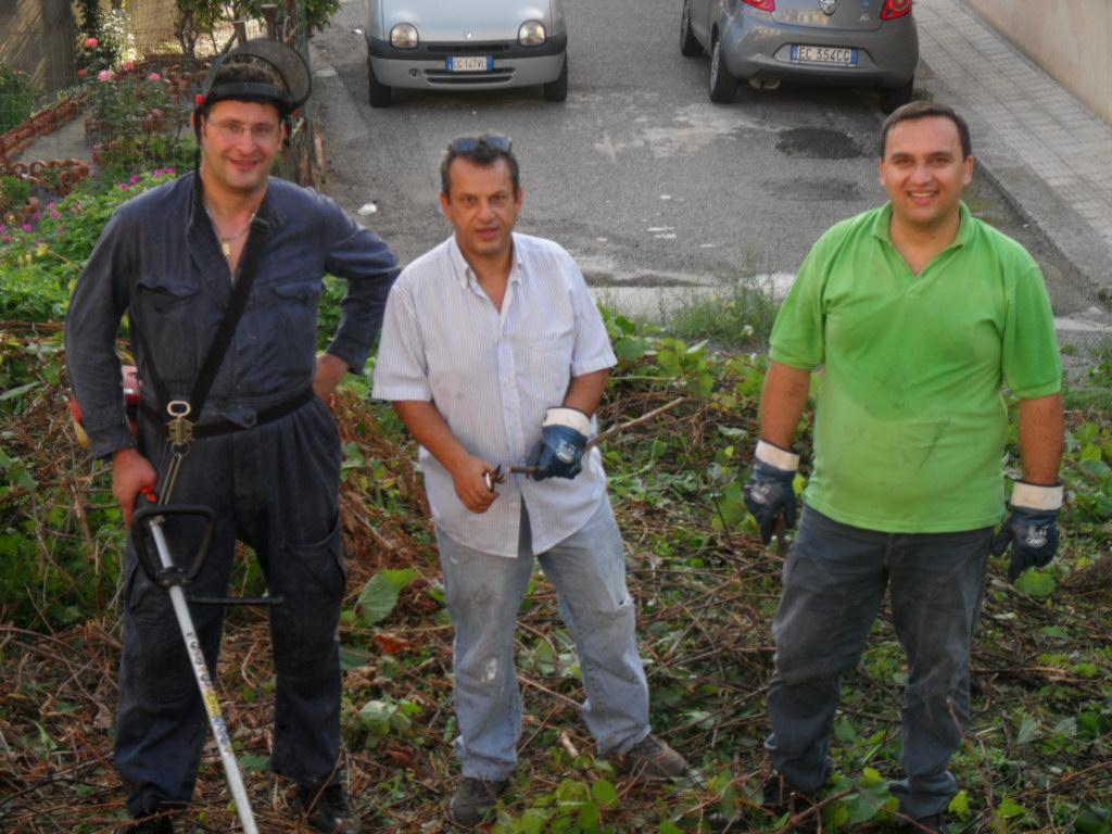 scerbatura bordonaro