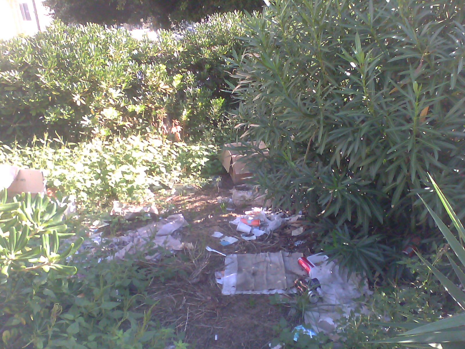 spazzatura piazzapopolo