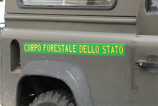 corpo forestale