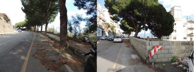 Alberi pericolosi circonvallazione