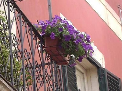 fiori balconi