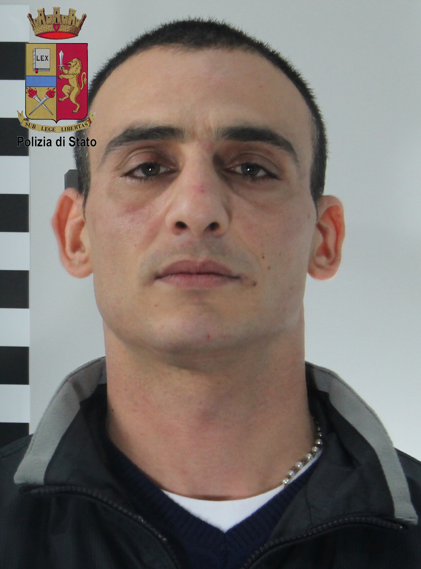 barbuscia domenico copia