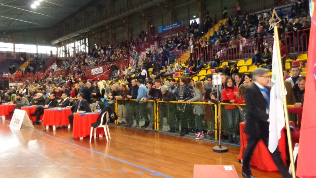 FIDS SICILIA CT DSC00978