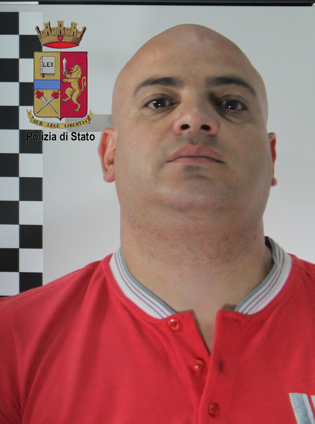 scarpato roberto copia