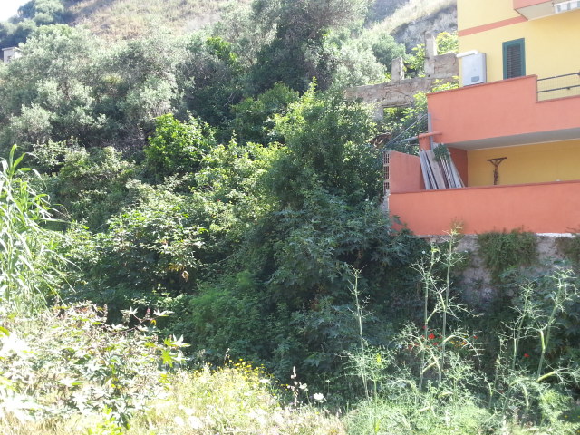 torrente Bisconte -Catarratti 3