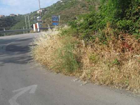 strada provinciale
