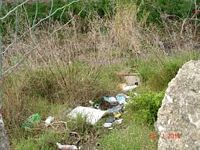 tn torrente bordonaro