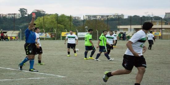 893 IMG 7428-1-550x275