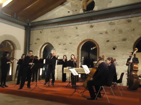 Orchestra Ars Musica