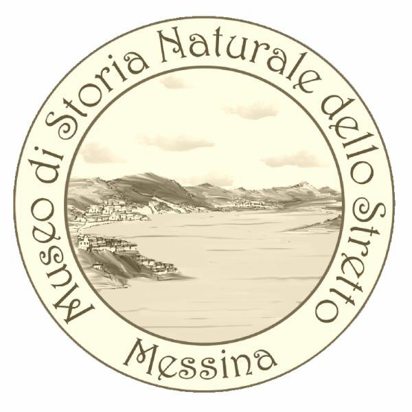 Museo-di-Storia-Naturale-dello-Stretto-di-Messina-nel-Mediterraneo