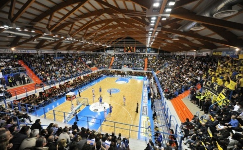 basket campo