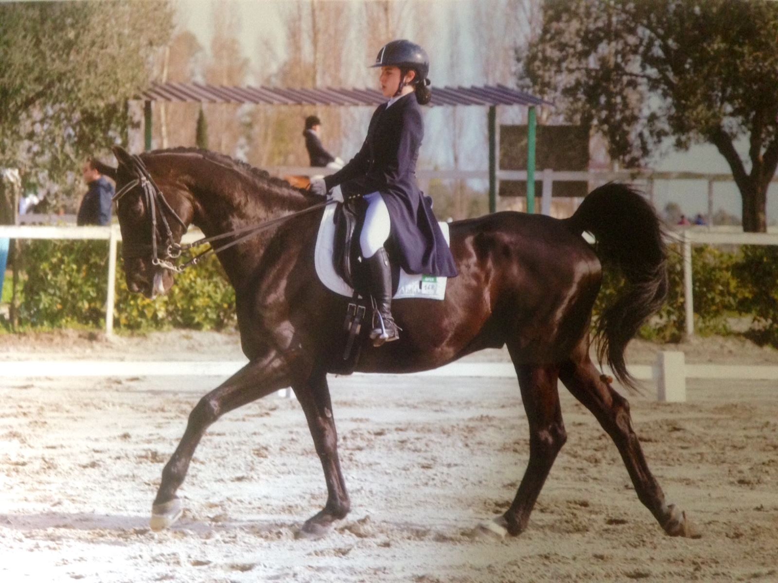 emma carcaterra equitazione