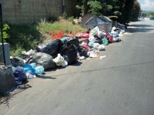 Spazzatura sulla strada stale 113 da San Saba a Ponte Gallo 006