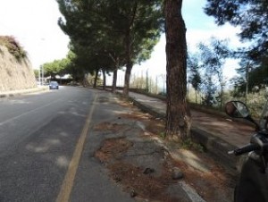 images_Foto_Caffo_Alberi_pericolosi_circonvallazione