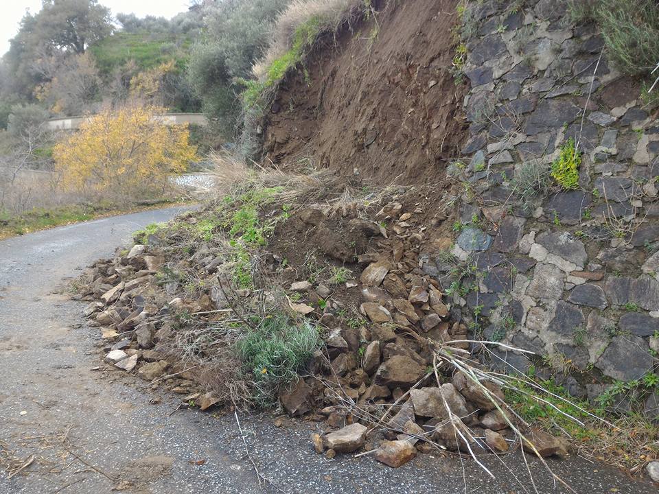 12553068_10207624666432034_7884829733401003089_n