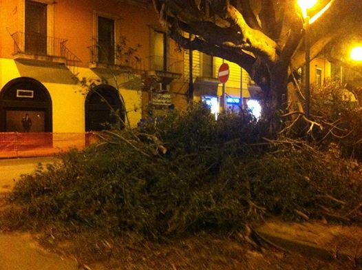 10398691_1075961572447801_6307214512336188622_n