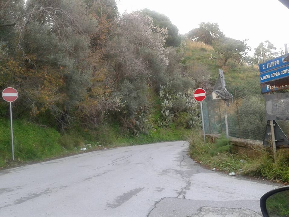 12669653_1064710800239545_6278320750053112219_n