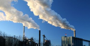 Inceneritore mela nuovo