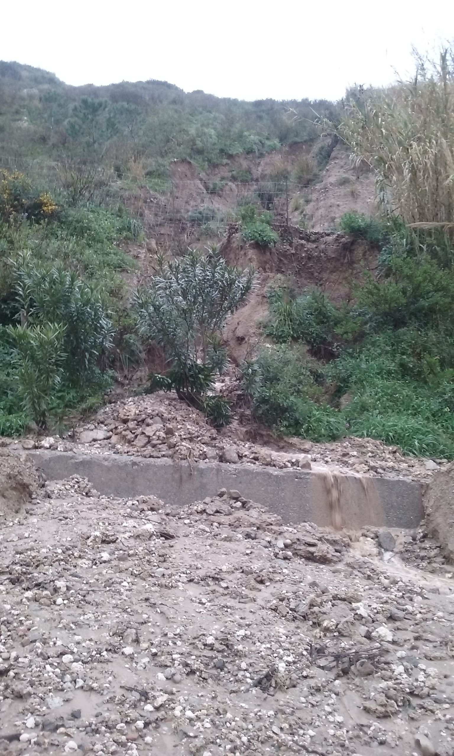 frana torrente trapani