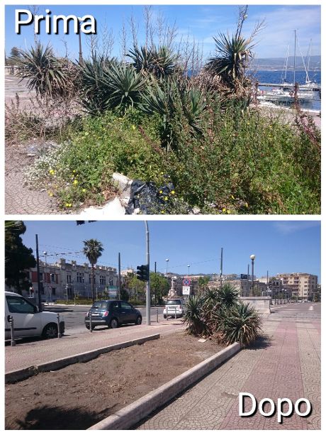 PhotoGrid_1460924671154