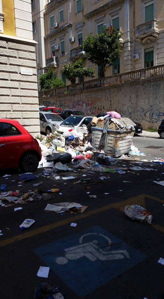 13501731_148222282248628_1894565396485221419_n