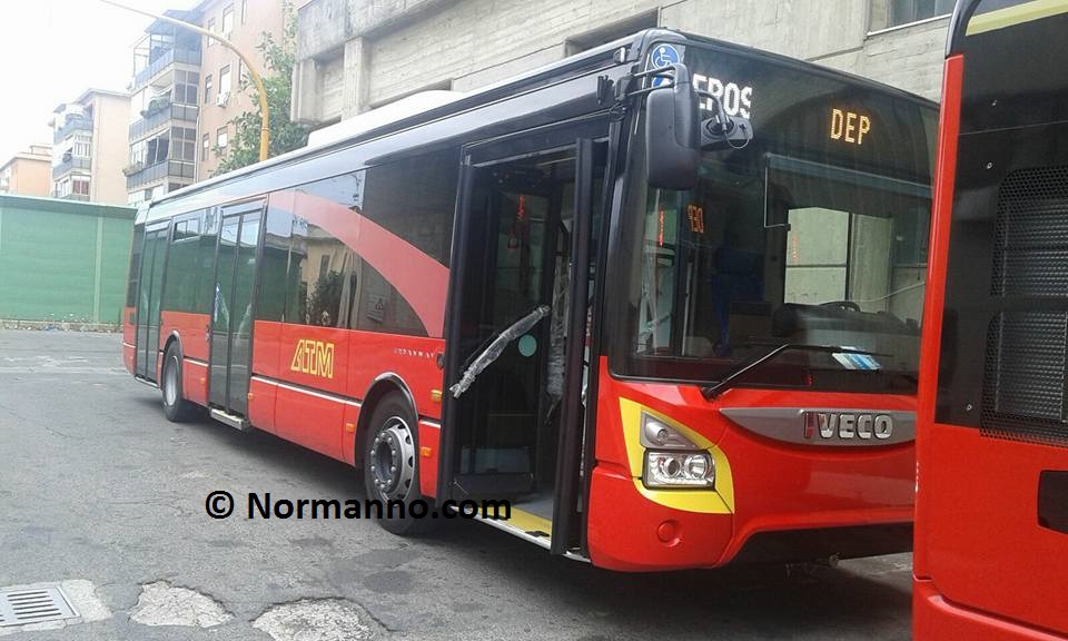 13502084_1152036881506936_411265771535167193_n