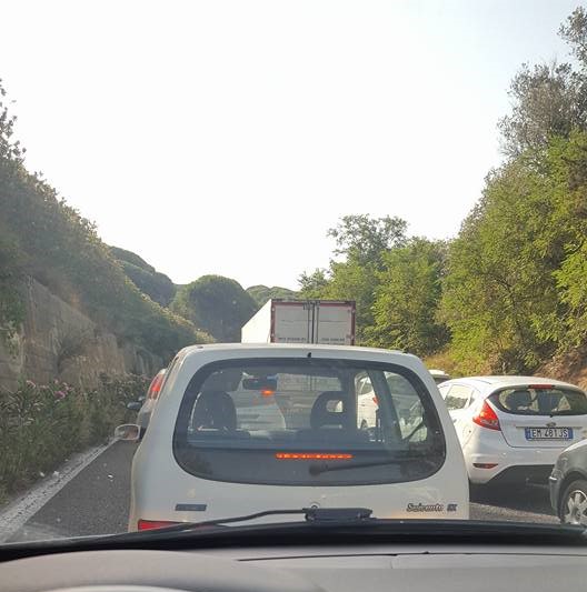 13654124_10209998068818005_3146052639517250438_n