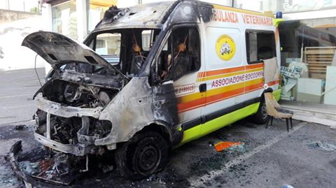 13769404_1123610624363277_6844155830036141309_n