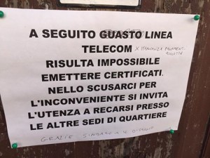 14702269_10207644414091992_4749326045548514405_n