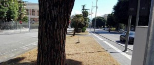 14717075_10209804662705997_9198853975412947210_n