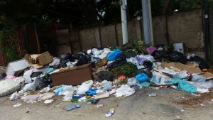 rifiuti-v-circoscrizione-2