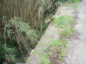 muretti-mancanti-protezione-starda-per-acqualadrone-002