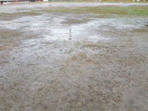 16194927_10211846449699259_7765511258135285305_n