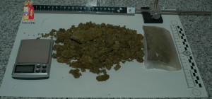 Foto marijuana 2