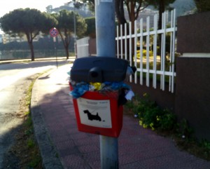 IMG_20170130_152956_438 deiezionj canine