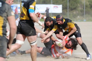 amatori rugby