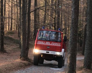 autobotte vigili del fuoco bosco